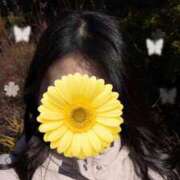 ヒメ日記 2026/01/06 14:29 投稿 しおり オナクラ大人女子