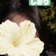 しおり お休み！ オナクラ大人女子