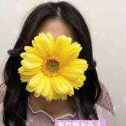 ヒメ日記 2026/01/24 14:19 投稿 しおり オナクラ大人女子