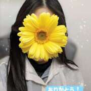 ヒメ日記 2026/01/31 15:49 投稿 しおり オナクラ大人女子