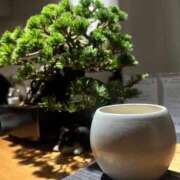 ヒメ日記 2026/01/11 20:29 投稿 うらら オナクラ大人女子