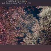 ヒメ日記 2026/04/13 10:39 投稿 みあ オナクラ大人女子