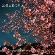 ヒメ日記 2026/04/20 02:09 投稿 みあ オナクラ大人女子