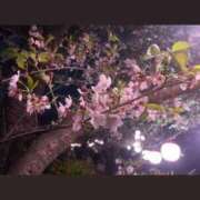 ヒメ日記 2026/04/29 08:09 投稿 みあ オナクラ大人女子
