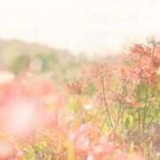 ヒメ日記 2025/09/13 17:19 投稿 ほづみ オナクラ大人女子