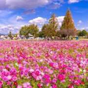 ヒメ日記 2025/10/11 12:39 投稿 ほづみ オナクラ大人女子