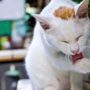 ヒメ日記 2025/10/14 18:49 投稿 ほづみ オナクラ大人女子