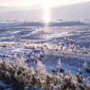 ヒメ日記 2025/11/27 13:09 投稿 ほづみ オナクラ大人女子