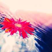 ヒメ日記 2026/01/01 09:19 投稿 ほづみ オナクラ大人女子