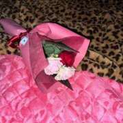 ヒメ日記 2026/03/29 22:19 投稿 ユメカ 性の極み 技の伝道師 ver. 匠