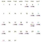 ヒメ日記 2026/02/26 22:22 投稿 ぶるじょあ 電マナイザー イラマチオン