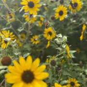 ヒメ日記 2025/10/18 23:23 投稿 ことね 三重松阪ちゃんこ