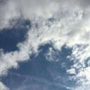 ヒメ日記 2025/11/23 15:03 投稿 ことね 三重松阪ちゃんこ