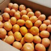 ヒメ日記 2025/12/25 19:20 投稿 こう 性腺熟女100％鶯谷（デリヘル市場）