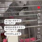 ヒメ日記 2026/03/12 18:55 投稿 こう 性腺熟女100％鶯谷（デリヘル市場）