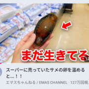 こう サメの赤ちゃん 性腺熟女100％鶯谷（デリヘル市場）