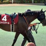 ヒメ日記 2025/09/27 19:28 投稿 りおん マダムバンク 富山本店