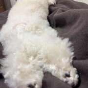 ヒメ日記 2025/10/29 11:24 投稿 りおん マダムバンク 富山本店