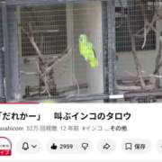 ヒメ日記 2025/12/21 10:50 投稿 こう 性腺熟女100％本店（デリヘル市場）