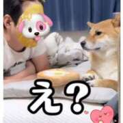 ヒメ日記 2026/01/26 18:25 投稿 こう 性腺熟女100％本店（デリヘル市場）