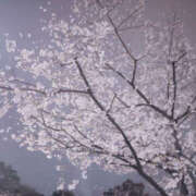 ヒメ日記 2026/03/26 07:35 投稿 こう 性腺熟女100％（デリヘル市場）