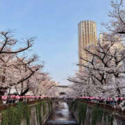 ヒメ日記 2026/03/31 09:50 投稿 こう 性腺熟女100％本店（デリヘル市場）