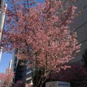 ヒメ日記 2026/03/05 11:05 投稿 のあ 僕のぽっちゃり伝説