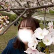 ヒメ日記 2026/05/04 18:05 投稿 ふわり 隙のあるエステ