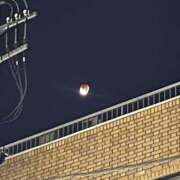 ヒメ日記 2025/09/08 19:00 投稿 みづき 渋谷FLAMINGO