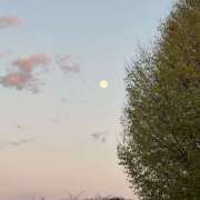 ヒメ日記 2025/10/10 19:29 投稿 みづき 渋谷FLAMINGO