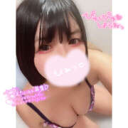 ヒメ日記 2026/02/24 18:01 投稿 すもも ビギナーズ和歌山