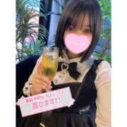 ヒメ日記 2026/02/25 18:21 投稿 すもも ビギナーズ和歌山