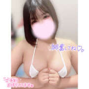 ヒメ日記 2026/02/26 20:04 投稿 すもも ビギナーズ和歌山