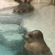 なの シフト変更です（；＿；） ドMな奥さん 十三店