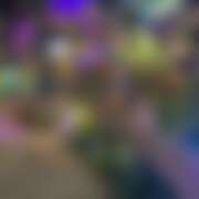 ヒメ日記 2025/09/18 21:28 投稿 たお 桜フェアリーテイル