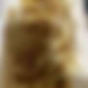 ヒメ日記 2025/10/01 20:22 投稿 たお 桜フェアリーテイル