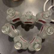 ヒメ日記 2025/10/05 16:27 投稿 たお 桜フェアリーテイル