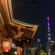 ヒメ日記 2025/11/28 19:11 投稿 たお 桜フェアリーテイル