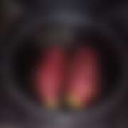 ヒメ日記 2025/12/19 19:29 投稿 たお 桜フェアリーテイル