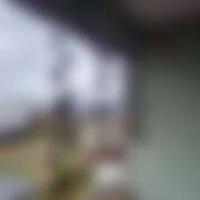 ヒメ日記 2026/01/25 20:44 投稿 たお 桜フェアリーテイル