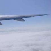 ヒメ日記 2026/02/27 21:36 投稿 たお 桜フェアリーテイル