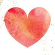 ヒメ日記 2026/03/01 19:55 投稿 たお 桜フェアリーテイル