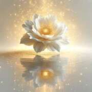 ヒメ日記 2026/03/11 19:13 投稿 たお 桜フェアリーテイル