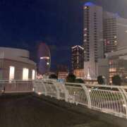 ヒメ日記 2026/03/14 07:30 投稿 たお 桜フェアリーテイル