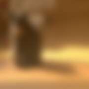 ヒメ日記 2026/04/02 21:06 投稿 たお 桜フェアリーテイル