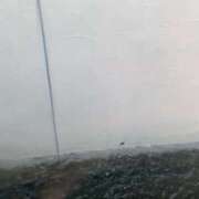 ヒメ日記 2026/04/04 19:28 投稿 たお 桜フェアリーテイル