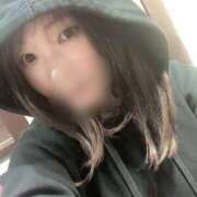 ヒメ日記 2026/04/12 19:33 投稿 たお 桜フェアリーテイル