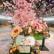 ヒメ日記 2026/04/01 10:05 投稿 春花(はるか) PLUS梅田店