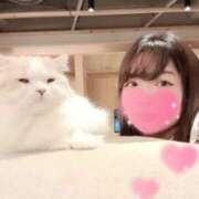 ヒメ日記 2025/09/24 19:46 投稿 ♡まり♡ CLUB AIRLINE（エアーライン）