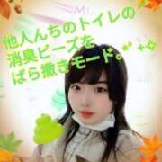 ヒメ日記 2025/11/02 11:09 投稿 ♡まり♡ CLUB AIRLINE（エアーライン）